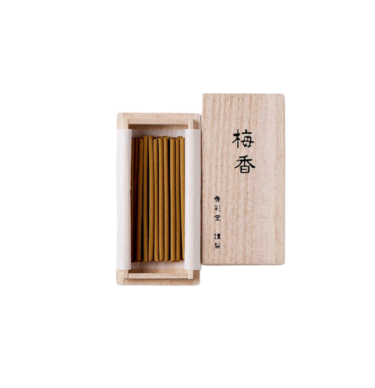 KOUSAIDO – Baika, skrzynka z paulowni (30 szt.)