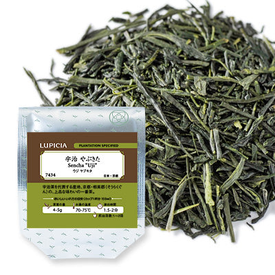 Herbata SENCHA UJI 50g