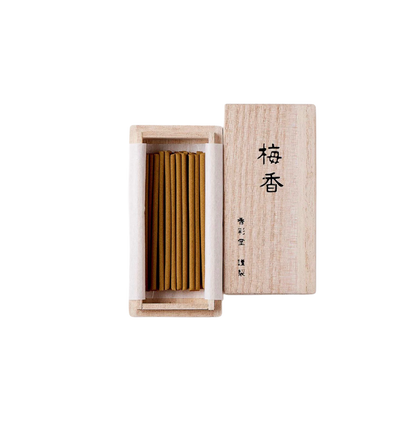 KOUSAIDO – Baika, skrzynka z paulowni (30 szt.)