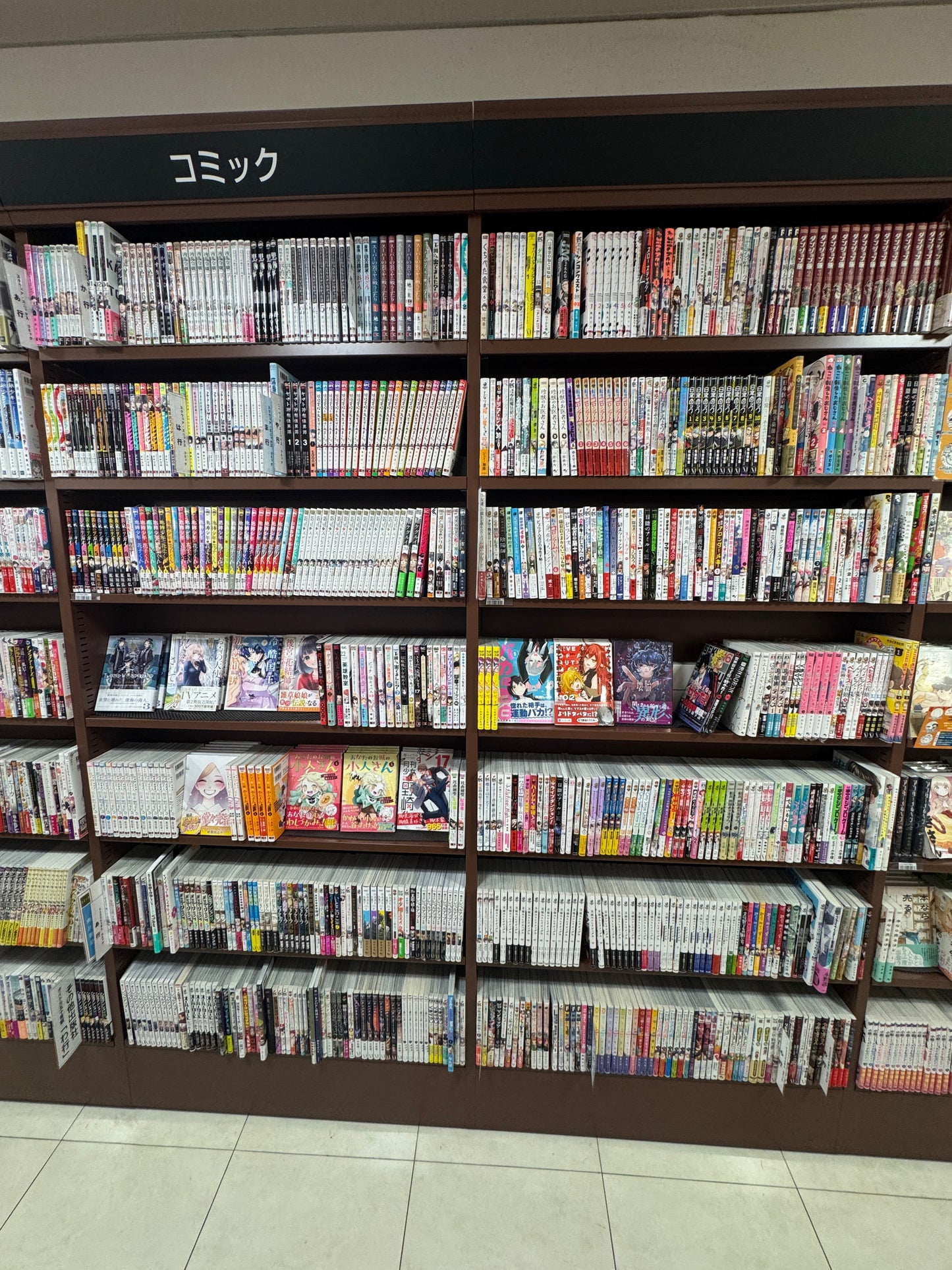 TWOJE ZAMÓWIENIE : Manga