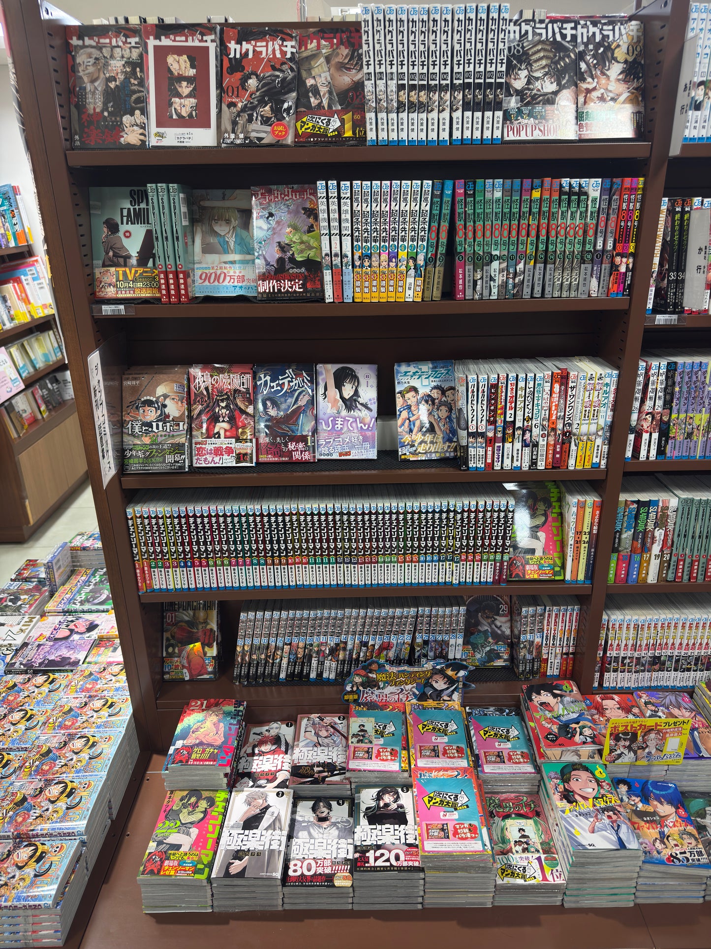 TWOJE ZAMÓWIENIE : Manga