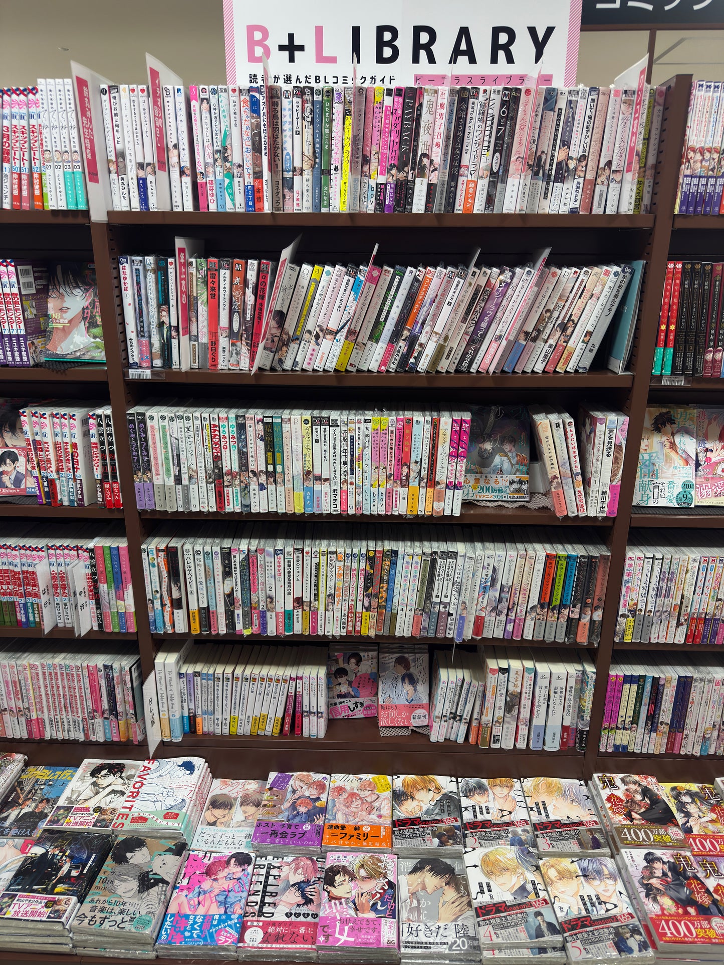 TWOJE ZAMÓWIENIE : Manga