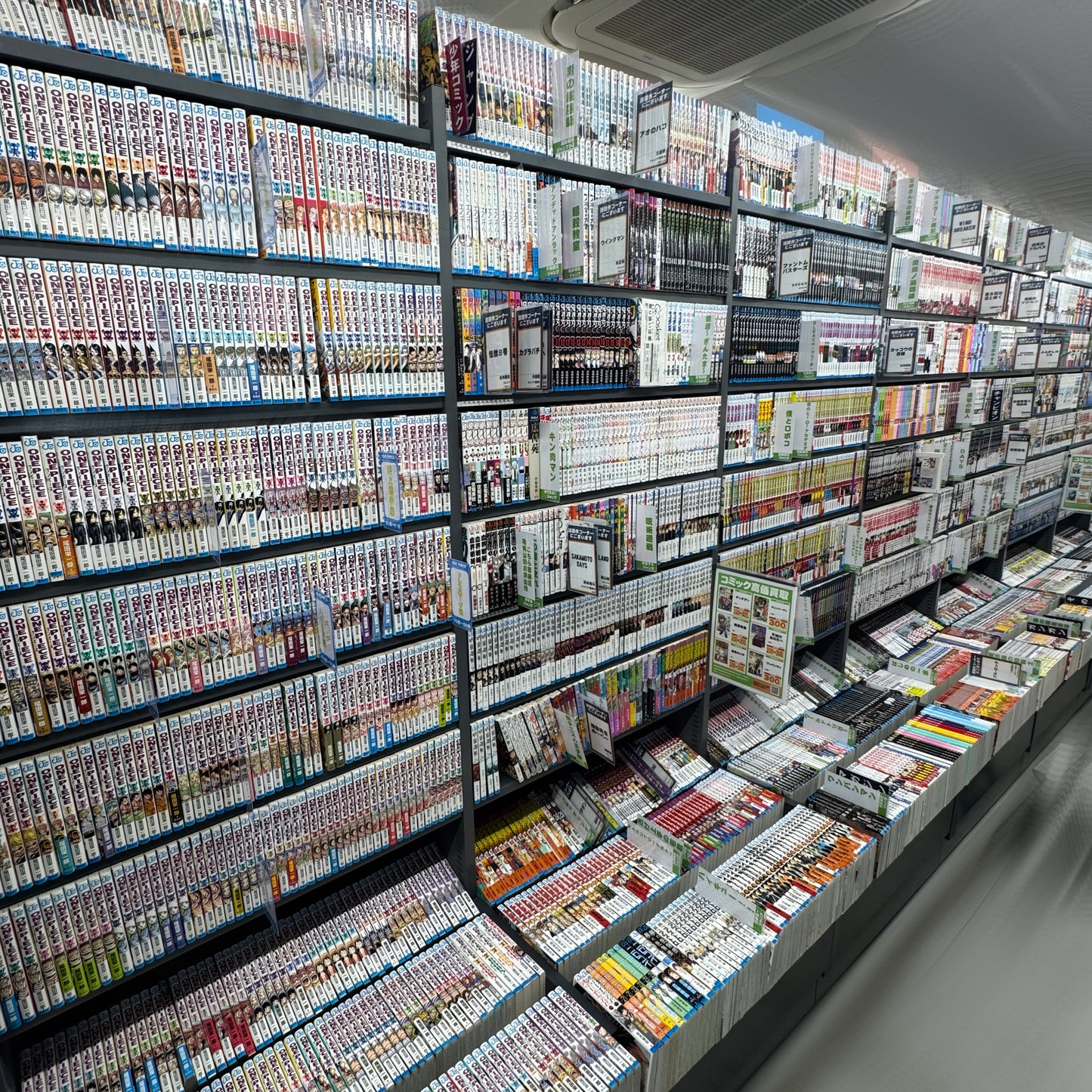 TWOJE ZAMÓWIENIE : Manga